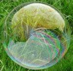 Bild einer Seifenblase